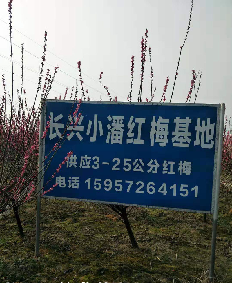 3-25&aring;&not;&aring;&ccedil;&ordm;&cent;&aelig;&cent;&aring;&ordm;&aring;&deg;
