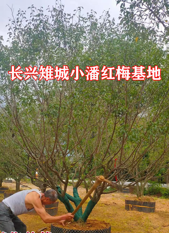 ������÷����֣��